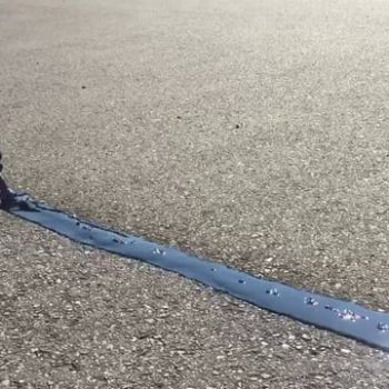 croppedimage350350-5