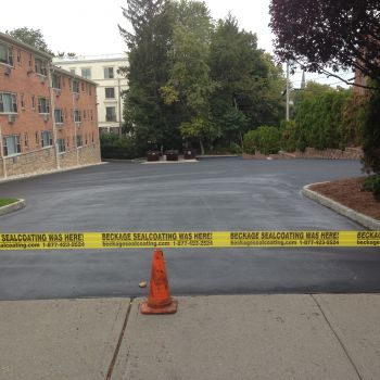 croppedimage350350-IMG16