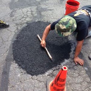 croppedimage350350-IMG1698