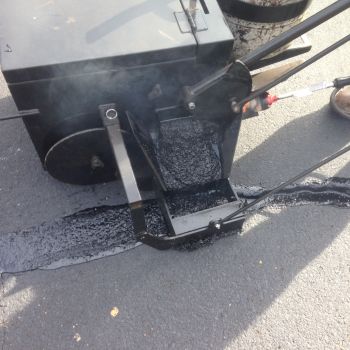 croppedimage350350-IMG2377