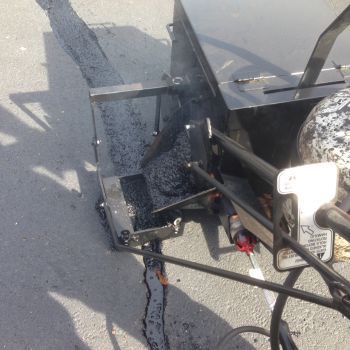 croppedimage350350-IMG2379