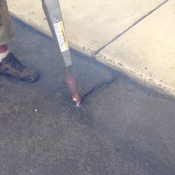 croppedimage350350-IMG8